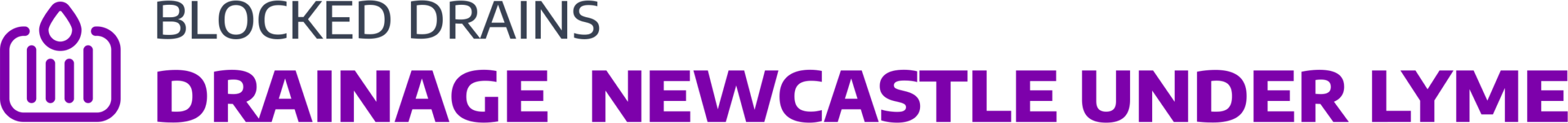 website logo